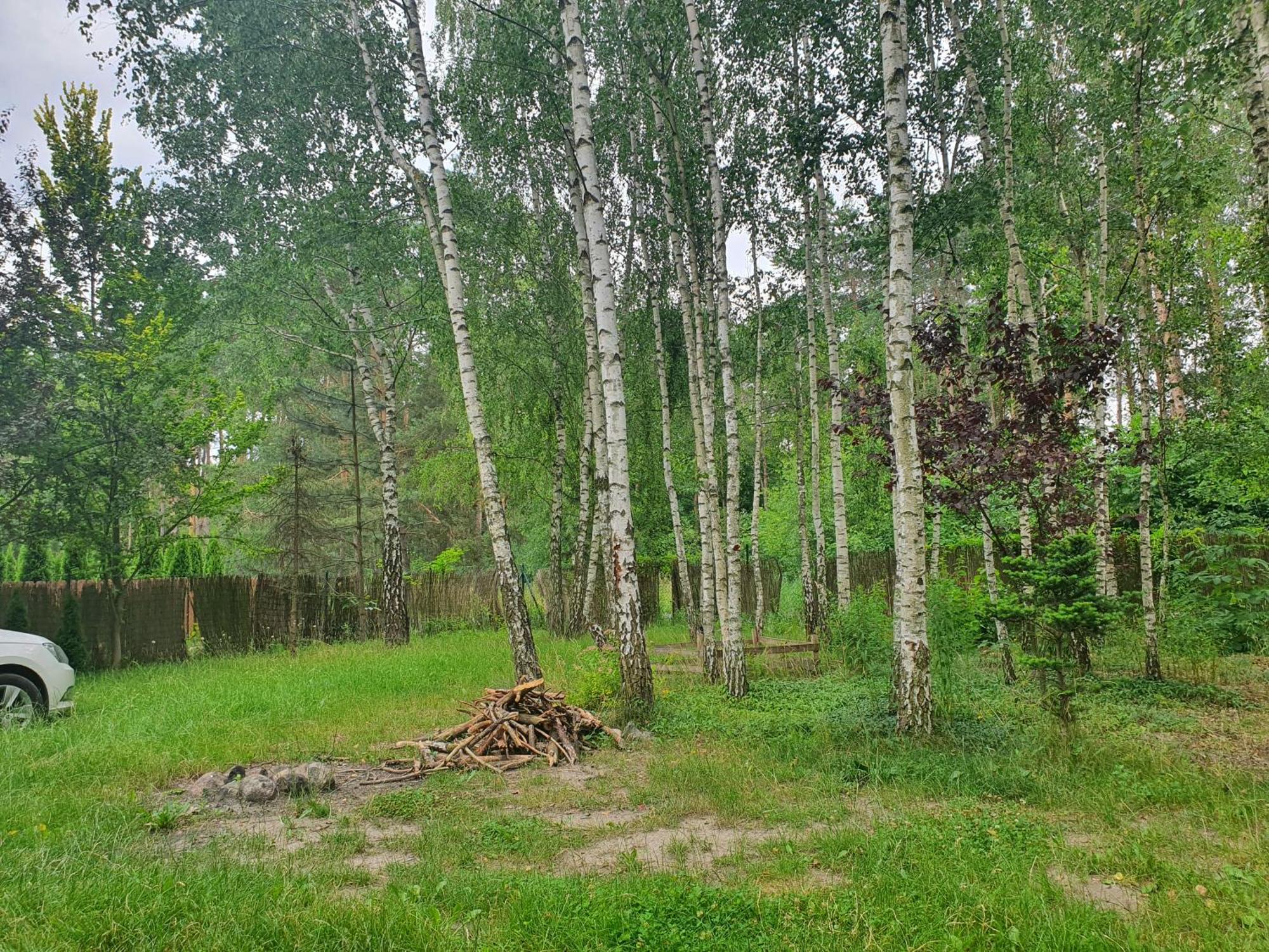 Domek Letniskowy Treby Stare Dış mekan fotoğraf